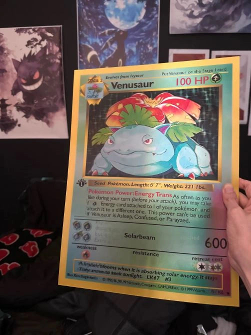 Póster Anime 3D Holo Pkmn™